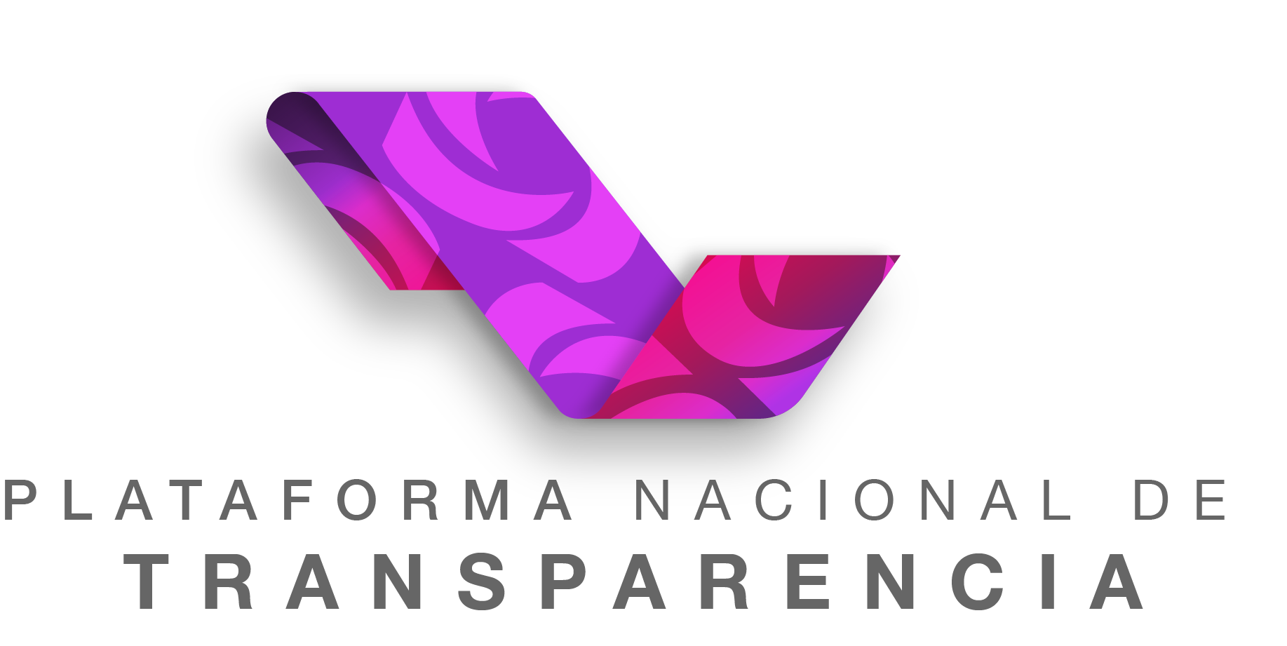 plataforma transparencia